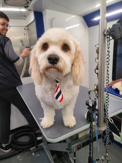 Purrfect Pawz Mobile Pet Grooming
