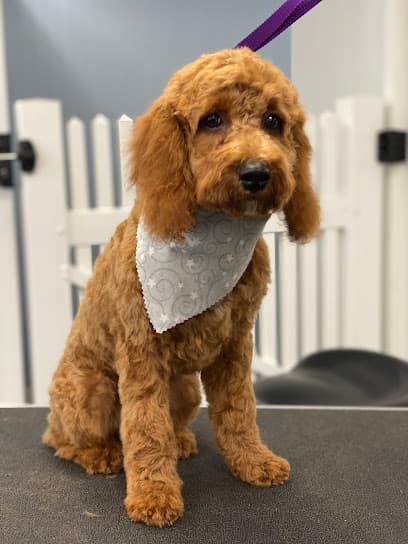 Lucky Dog Day Spa