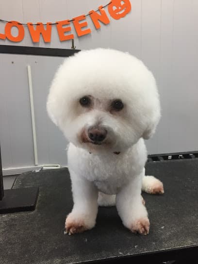 Lokahi Dog Grooming