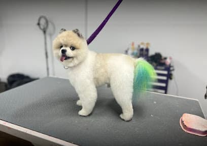Pooch la vie
