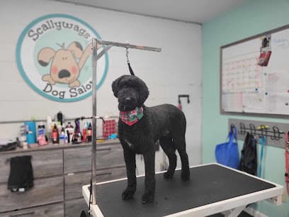 Scallywags Dog Salon