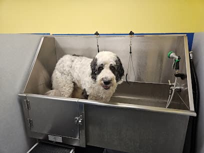 The Dog Wash