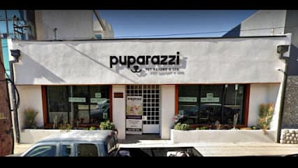 Puparazzi