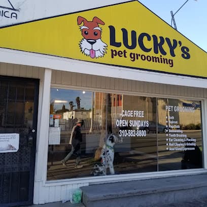 Lucky's Pet Care