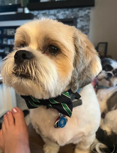 The Dirty Hairy Grooming Salon