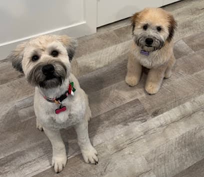 All About Dogs