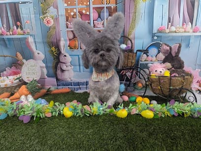 Star Mutts Grooming Salon