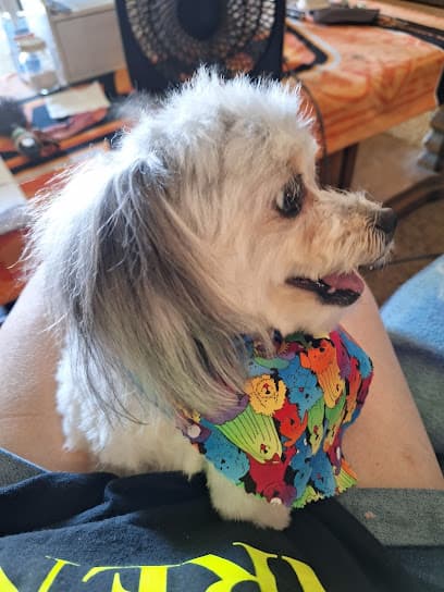 Bark Avenue Dog Grooming