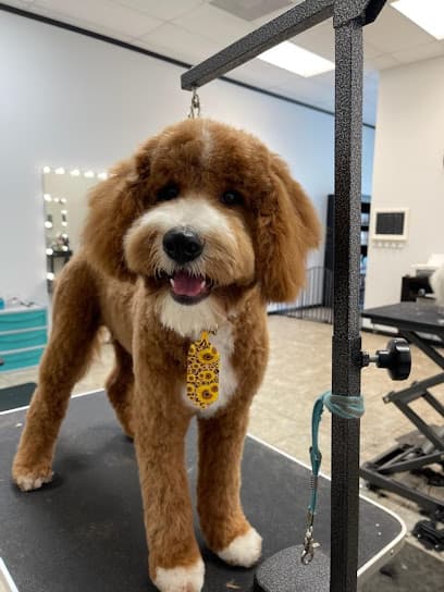 Vanity Fur Pet Spa & Grooming, LLC