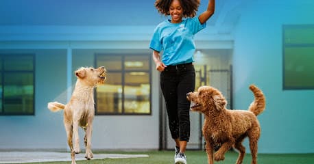 Pet Paradise Pooler
