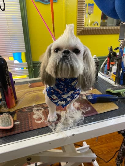A HAIRY SITUATION PET GROOMING