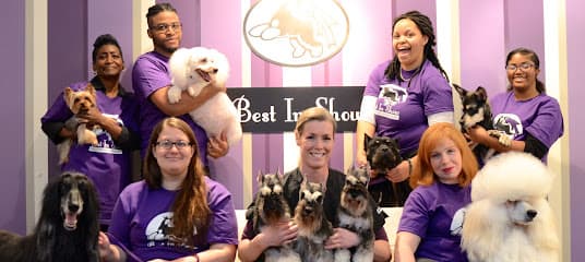 Best In Show Doggy Daycare, Groom & Board