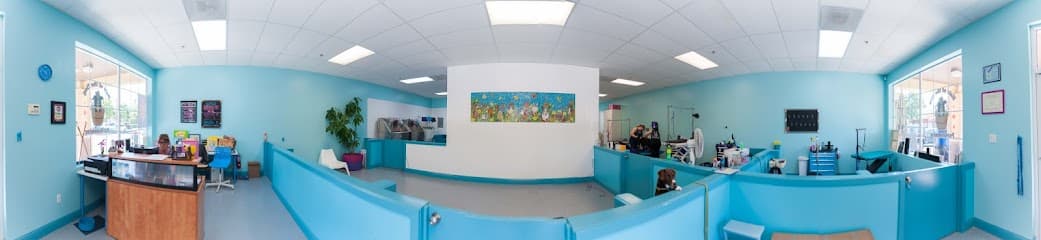 Hair of the Dog Pet Grooming