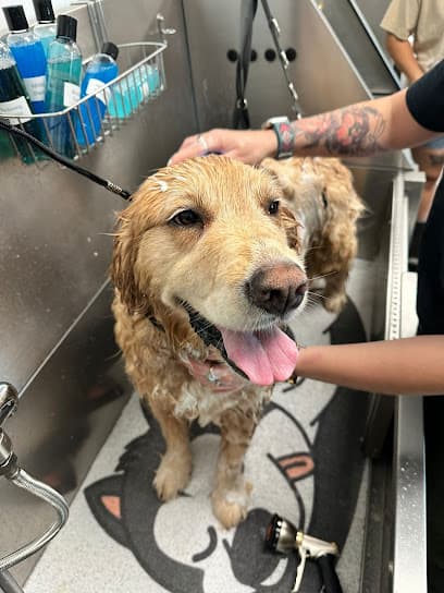 Pawadise Parlor Pet Grooming & Spa