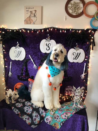 Wash Shake Wag - Dog Grooming, Somerset TX