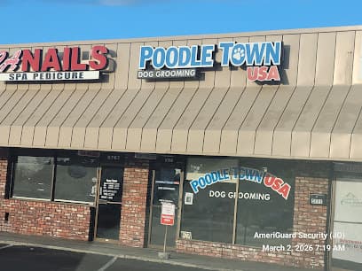 Poodle Town USA