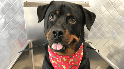 Top Dog Wash & Groom