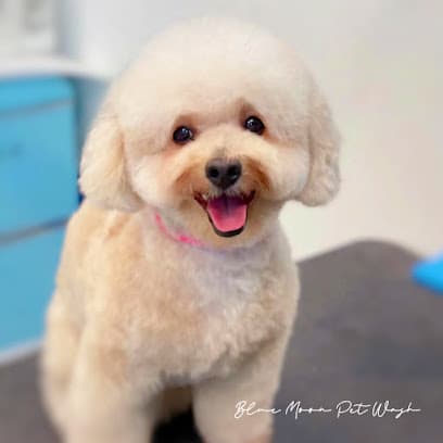 Blue Moon Pet Wash