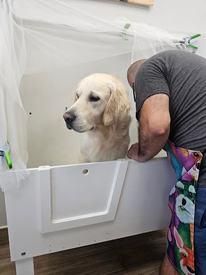 Splash N Dash DIY Dog Wash