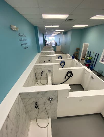 Dirty Dog Grooming Spa