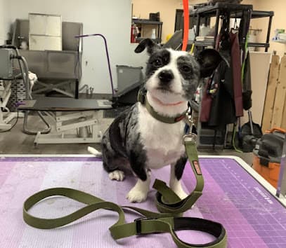 Fresh Paws Salon