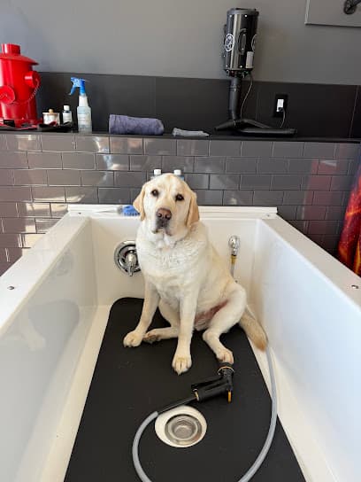 The Laundromutt - Self-Service Dog Wash (Springfield)