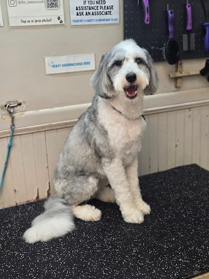 The Canine Scrub - Self Serve Pet Wash