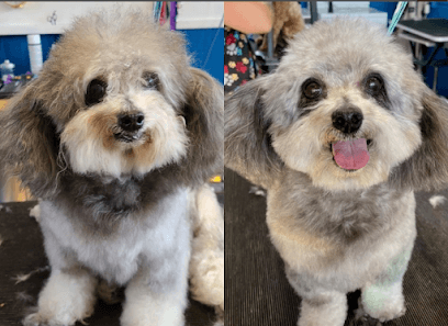 Who's Your Groomer