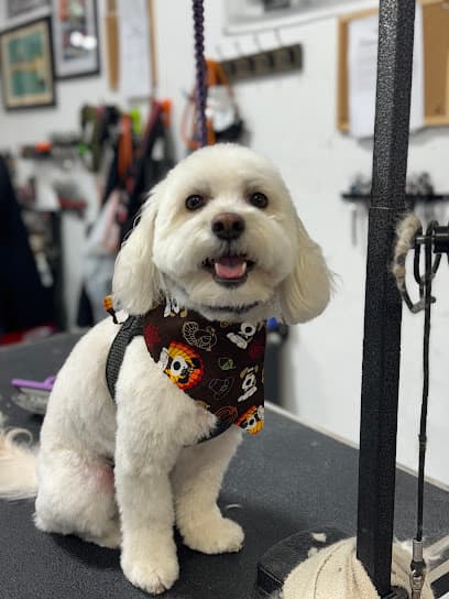 The Dog Pawlor