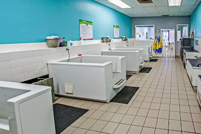 Dirty Paws Pet Wash