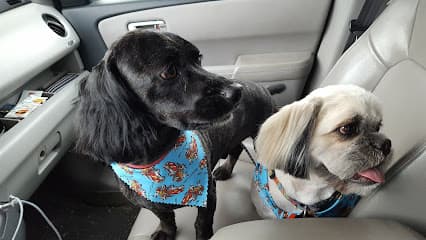 Adorable Do's Pet Grooming