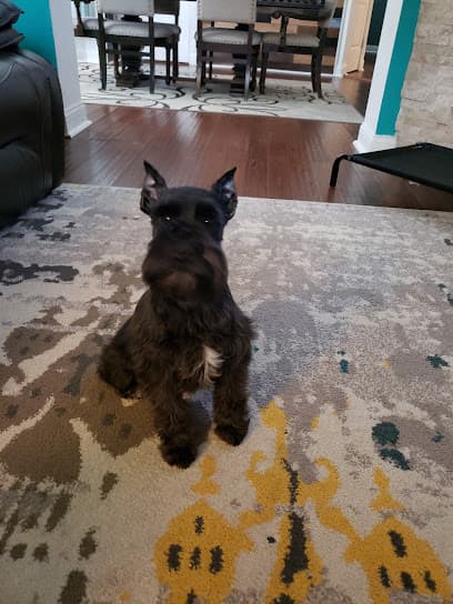 Pet Palace Grooming Salon