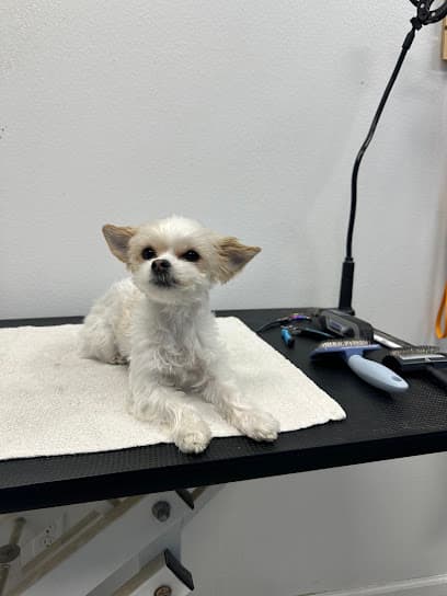 Pet Care Plus