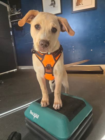 Colorado Canine Club