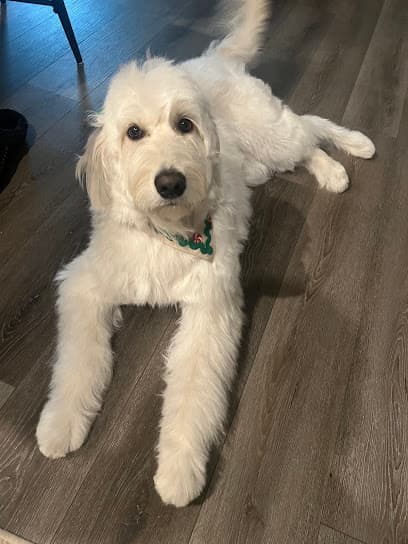 Barks NV Salon & Spa