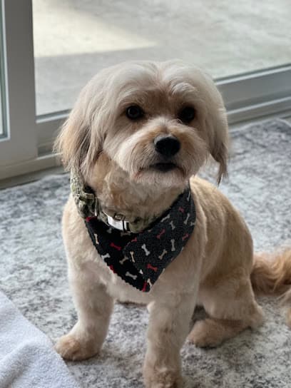 The Ruff Fluffery