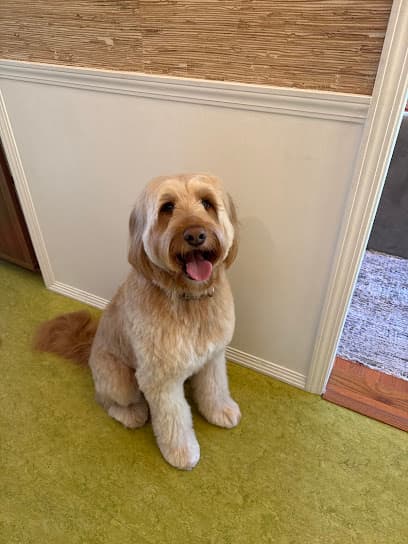 Grooming Arts Northwest