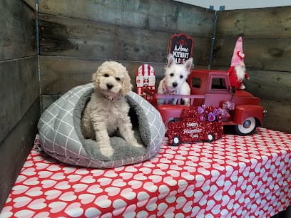 Dirty dogs wash and grooming LLC