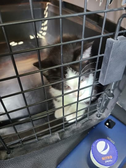 Sangamon County Animal Control