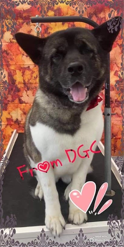 Dog Gone Clean - Dog Grooming and Self Service Dog Wash - Vancouver, WA