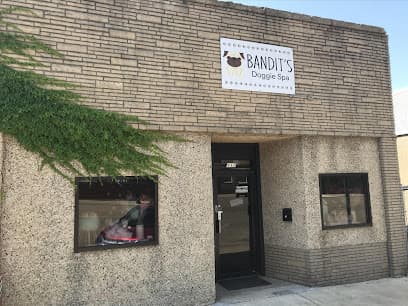Bandit's Doggie Spa