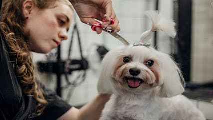 Imelda's Pet Grooming