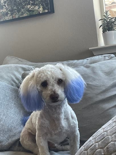 Doggie Stylezz