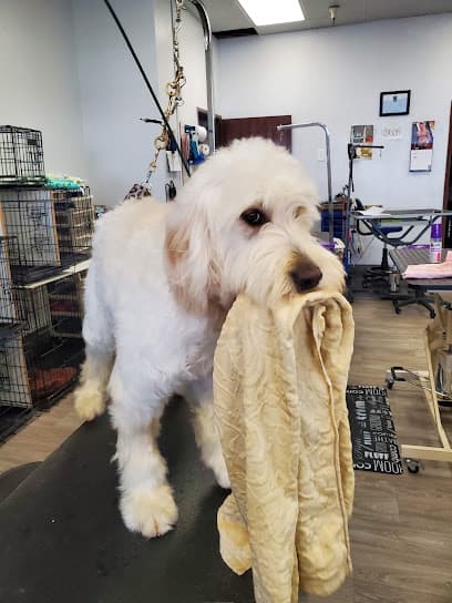 Lisa's Pampered Paws Pet Grooming
