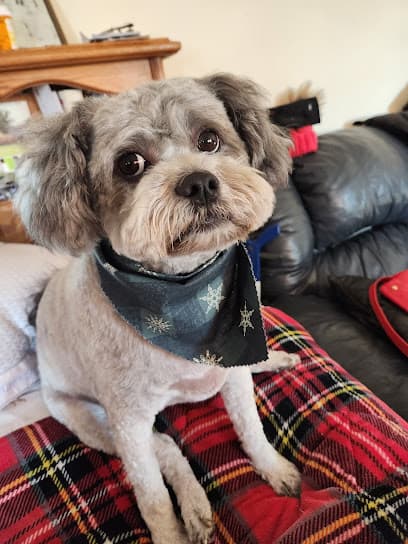 Pet-A-Groom
