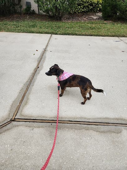 Scenthound Jacksonville Glen Kernan