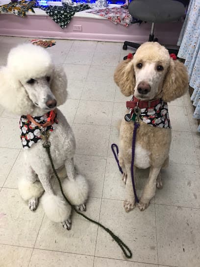 Tender Touch Grooming Salon