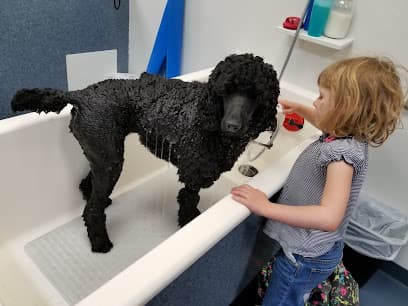 Blue Collar Pet Salon