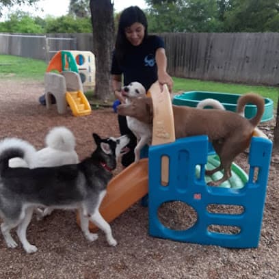 Puppy Power Dog Resort
