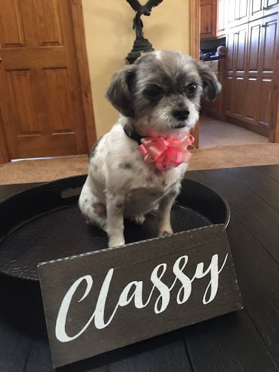 Happy Tails Pet Salon